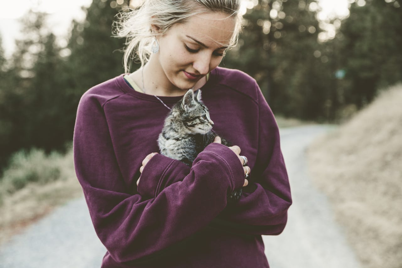 What are the symptoms of feline immunodeficiency virus(FIV)
