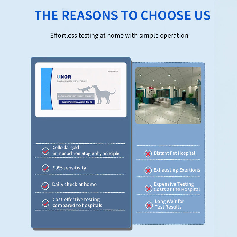 UNOR™ Parvovirus Antigen Test Kit For Dogs(CPV Ag Test)