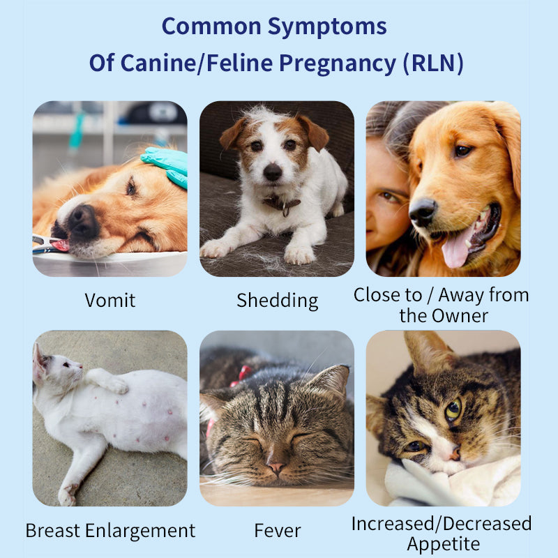 UNOR™ Pregnancy (Relaxin)Screening Kit For Dogs/Cats(RLN Test)