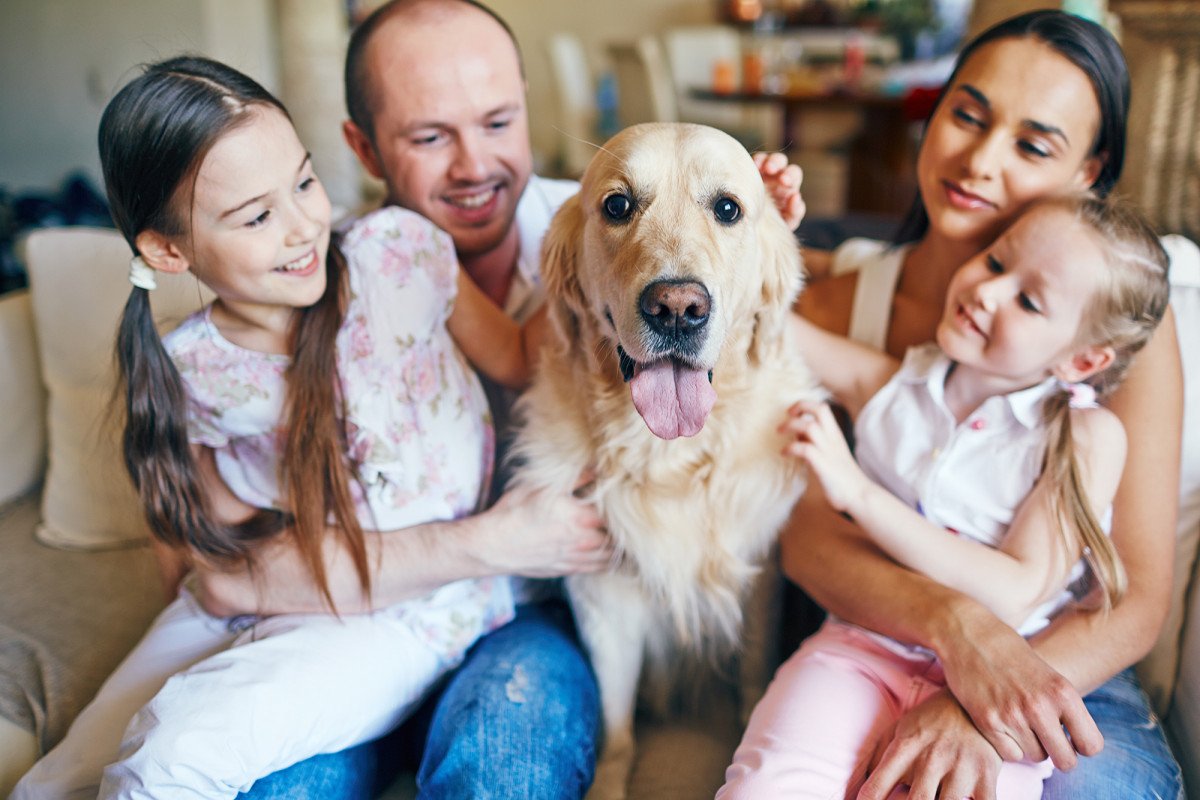happy dog and family